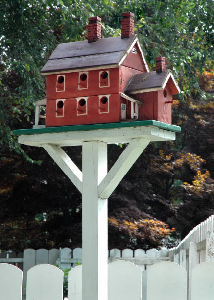 istock Charming Two Story Birdhouse 157168770