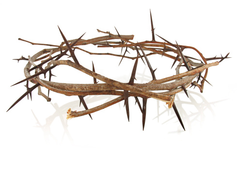A crown of thorns with a reflection.
