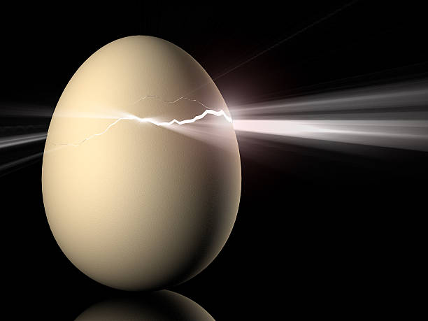 新しい生活 - eggs cracked opening fragile ストックフォトと画像