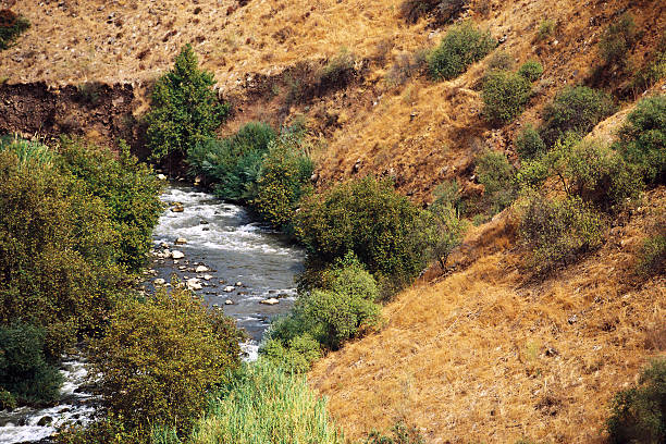 O rio Jordão - fotografia de stock