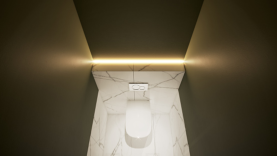 Toilet. Bathroom. Interior design. Computer Generated Image. Architectural Visualization. 3D Render.  Stock Photo