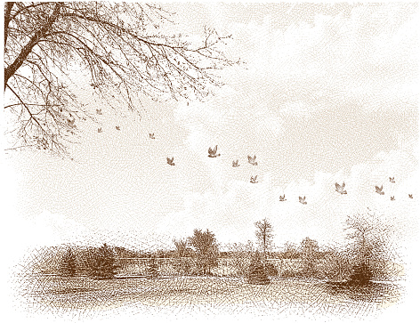 Etching illustration of landscape with lake and flock of birds. Soft dreamy quality. All elements grouped separately and on separate layers for easy editing. Lots of great cropping options in this file. Has a 