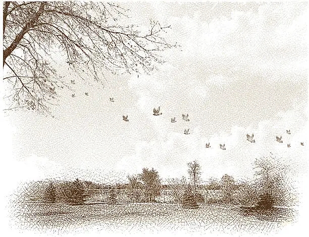 Vector illustration of Landscape With Birds Etching