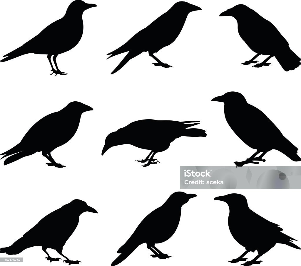 crows vector file of crows silhouette Crow - Bird stock vector