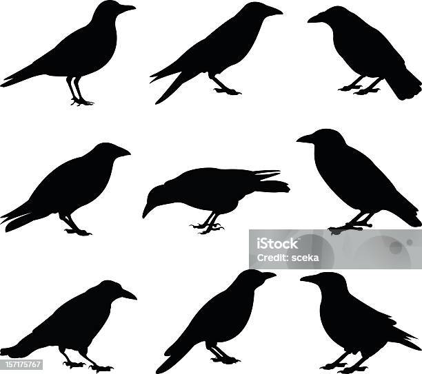 Crows Stock Illustration - Download Image Now - Crow - Bird, In Silhouette, Crowing