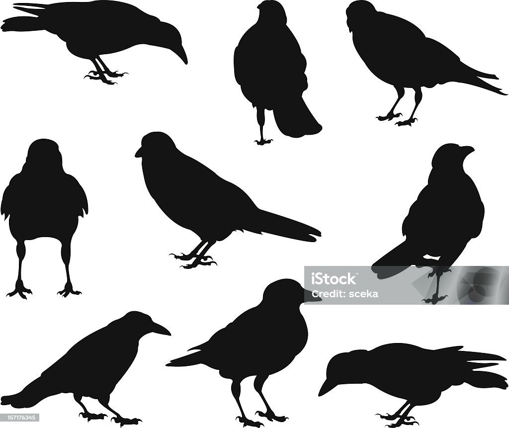 crows vector file of crows Crow - Bird stock vector