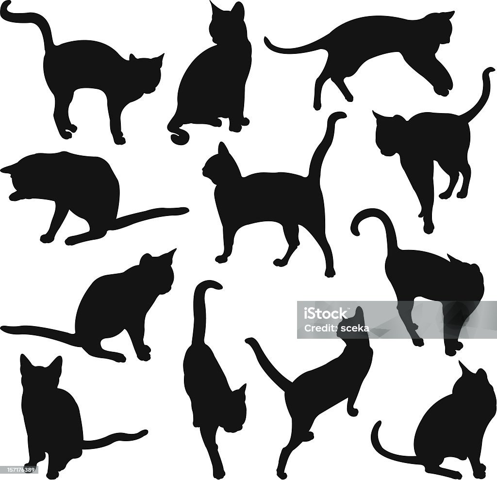 Les chats - clipart vectoriel de Chat domestique libre de droits