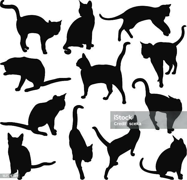 Cats Stock Illustration - Download Image Now - Domestic Cat, Undomesticated Cat, In Silhouette