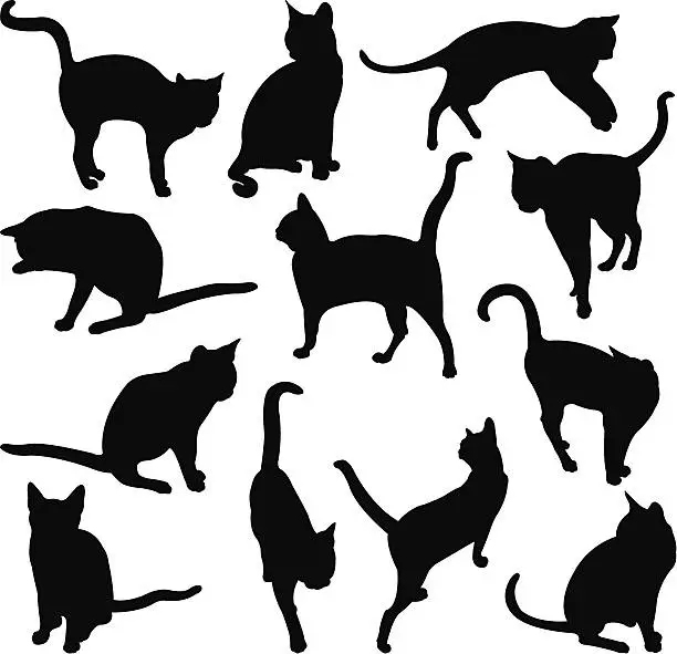 Vector illustration of cats