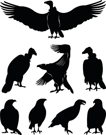 vector file of eagle silhouettes