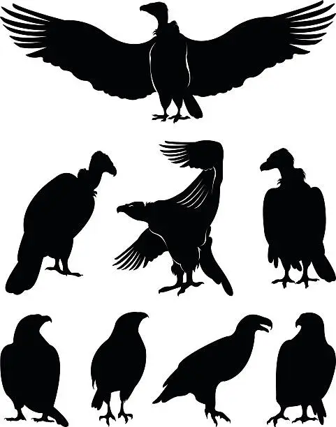Vector illustration of eagle silhouettes