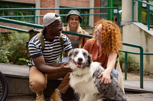 Group of happy people enjoying in conversation while spending a day with a dog on the street. Focus is on dog.