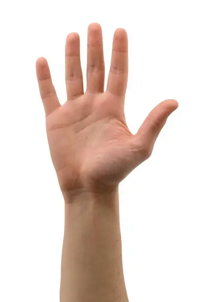 Photo of Open hand ( isolated )