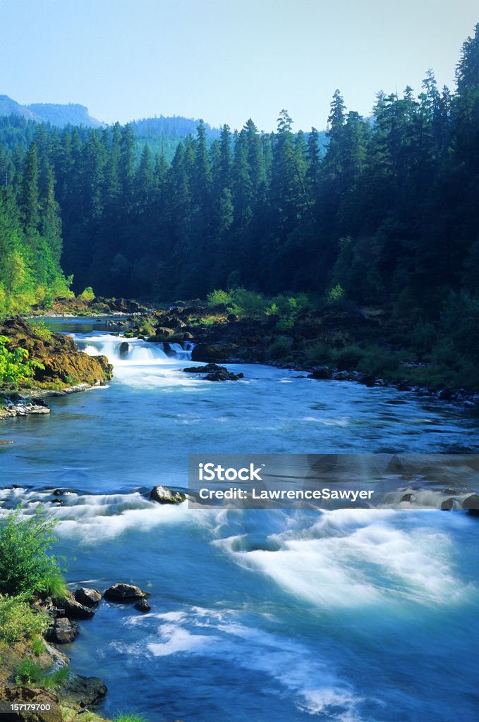 Deschutes River, Oregon, august - Lizenzfrei Fluss Deschutes Stock-Foto