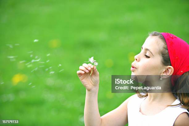 Soprar Dentedeleão - Fotografias de stock e mais imagens de Ao Ar Livre - Ao Ar Livre, Arranjo de flores, Aspiração