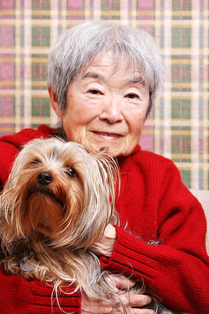 istock Ethnic Grandma Holding Dog 157179761