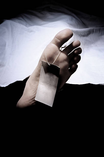 Death Feet with tag, representing death morgue stock pictures, royalty-free photos & images