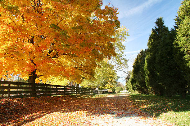 Autumn Road Ohio  dayton ohio photos stock pictures, royalty-free photos & images