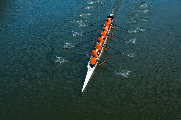 Eight Man Rowing Team - Teamwork Full overhead image of an eight oar rowing crew in the open water. This is teamwork at its best. coordination stock pictures, royalty-free photos & images