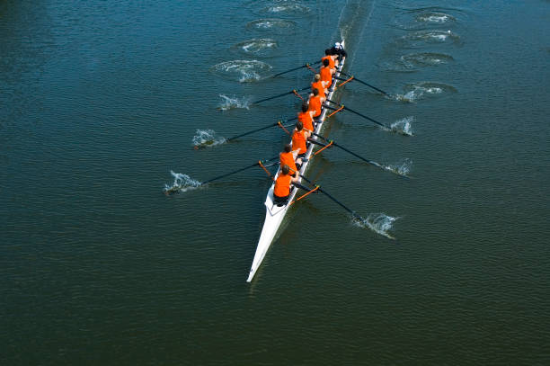 Eight Man Rowing Team - Teamwork Full overhead image of an eight oar rowing crew in the open water. This is teamwork at its best. co ordination stock pictures, royalty-free photos & images