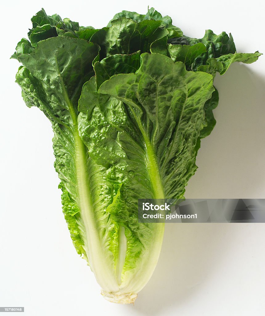 Lechuga romana lechuga - Foto de stock de Lechuga Romana libre de derechos