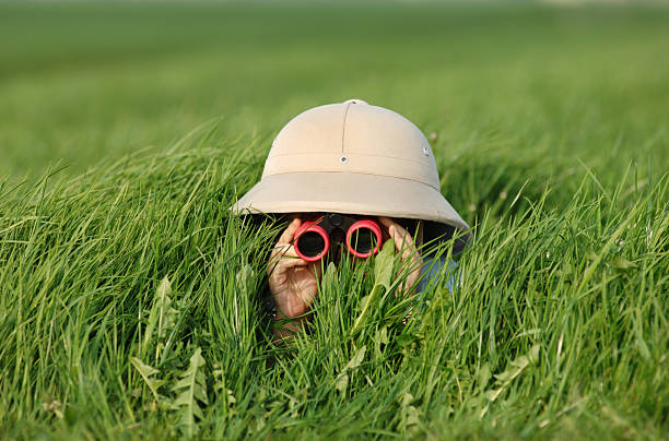 Explorer in the Field little boy in high grass searching for something... a TIGER??? peeking photos stock pictures, royalty-free photos & images