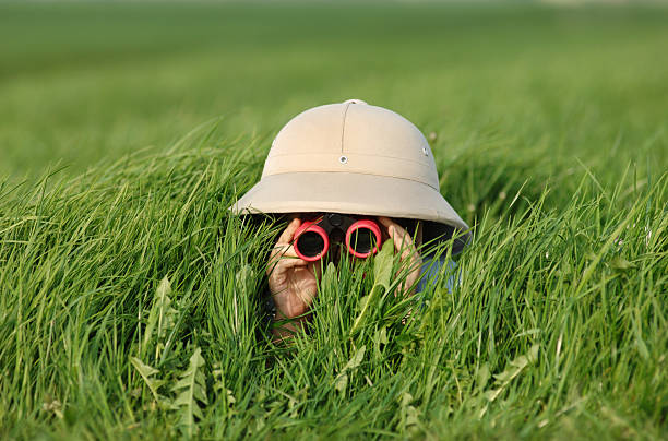 explorer no campo - descoberta imagens e fotografias de stock