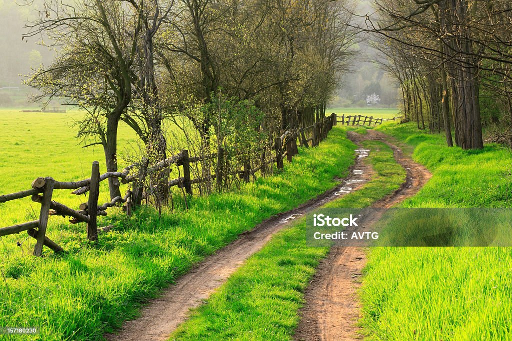 Farm Road en resorte - Foto de stock de Camino libre de derechos