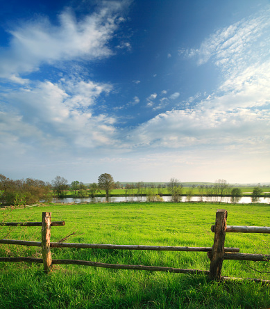 A picture of a green field with a blue clear sky that would be great for a background. 