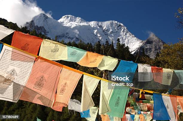 Kham Tíbet Pulmonesta A Yading Parque Natural Foto de stock y más banco de imágenes de Aire libre