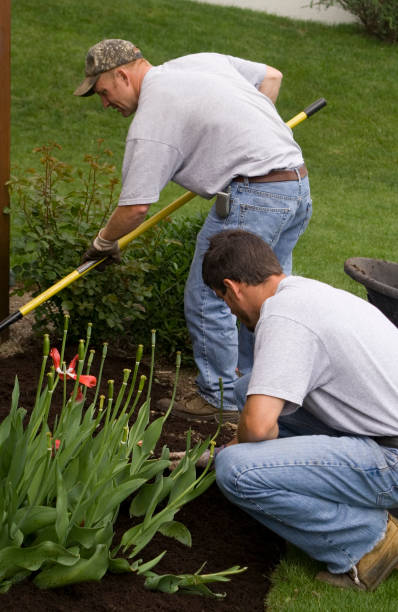 istock Male landscapers working on a yard 157180574