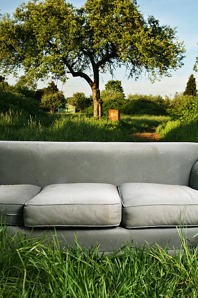 istock Dirty Old Couch in a Field 157180622