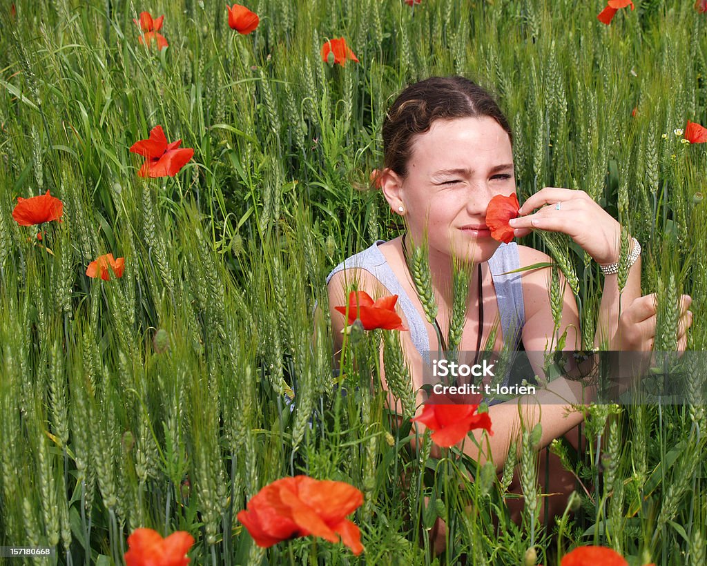 Mädchen in Mohn-Feld - Lizenzfrei Erinnerung Stock-Foto