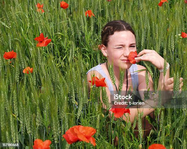 Ragazza In Un Campo Di Papaveri - Fotografie stock e altre immagini di Campo - Campo, Nostalgia, Papavero - Pianta