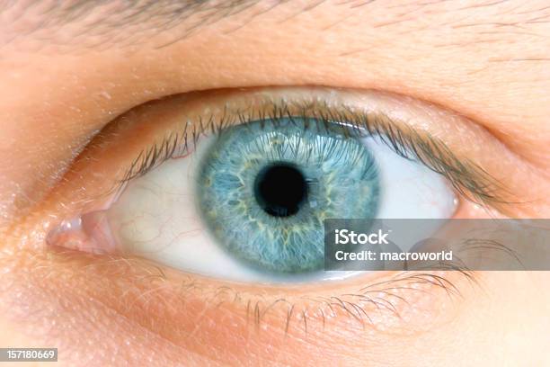 Foto de Os Olhos e mais fotos de stock de Primeiro plano - Primeiro plano, Olhos Azuis, Íris - Olho