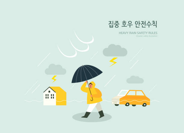 hoạ - bão nhiệt đới bão táp hình minh họa sẵn có