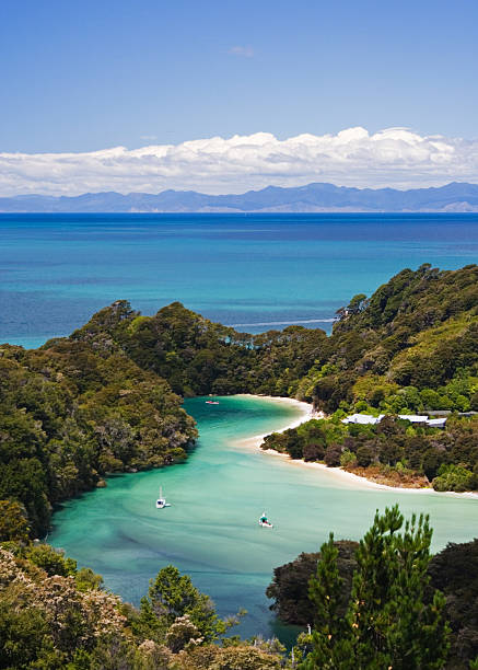 entrada de abel tasman - abel tasman national park imagens e fotografias de stock