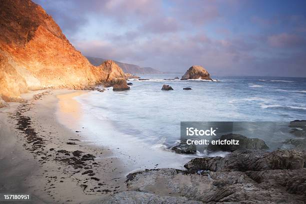 Foto de Elefante Rock e mais fotos de stock de Costa nacional de Point Reyes - Costa nacional de Point Reyes, Areia, Aventura