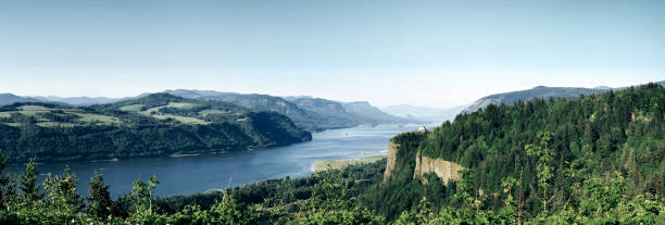 istock Panorama View of Columbia River Gorge, Oregon 157180998