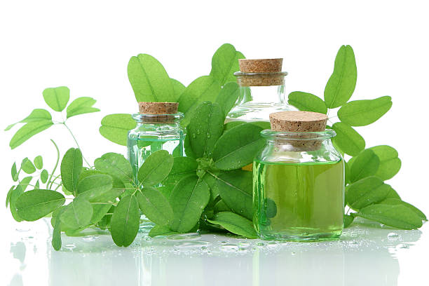 istock Bottles with cork composition and green leaves 157181006