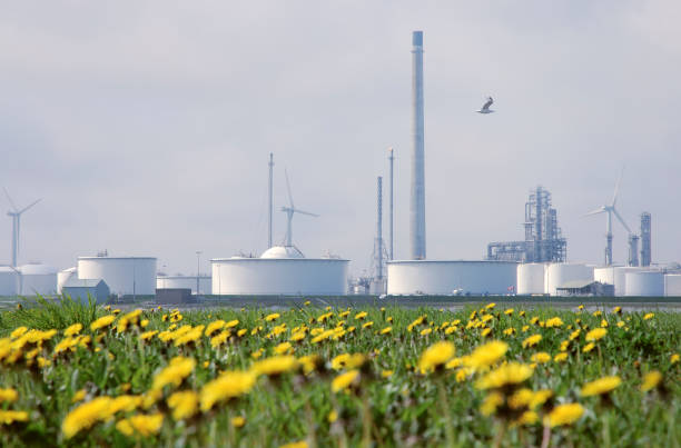 Petrochemical Industry