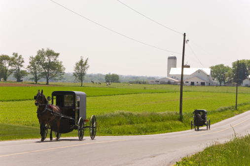 Groffdale, PA, USA – June 16, 2021.  A traditional horse drawn Amish buggy travels through the Lancaster County, Pennsylvania countryside near Bird-In-Hand, PA.  Blue skies and puffy white clouds are in the background as the subjects move through farmland in the Amish Pennsylvania Dutch region.