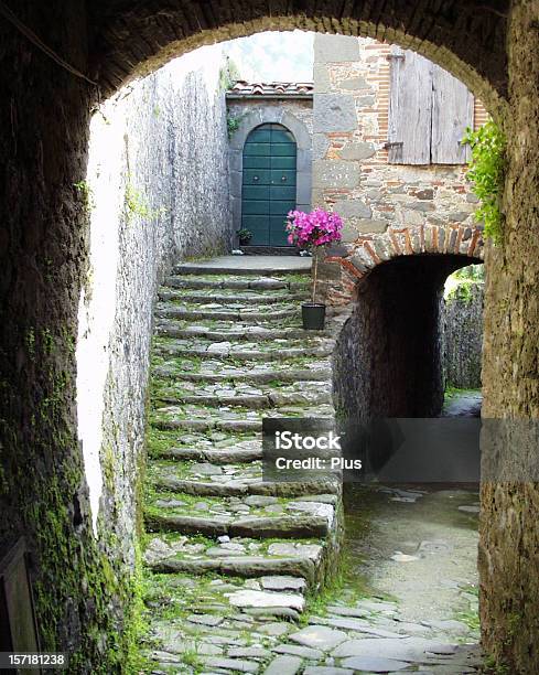 Arco Escadas Flores E Porta De Entrada - Fotografias de stock e mais imagens de Fada - Fada, Porta, Arco - Caraterística arquitetural