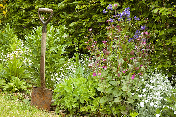 giardinaggio tempo - ornamental garden europe flower bed old fashioned foto e immagini stock