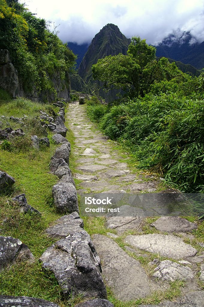 Inca Trail  Inca Trail To Machu Picchu Stock Photo