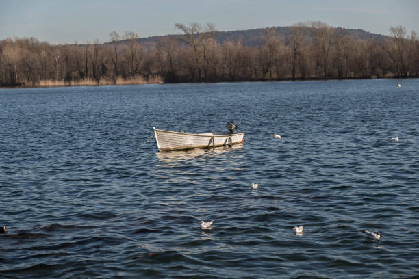istock Rowing boat on Lake Maggiore in blue water 1571813959