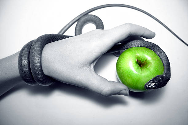 temptation snake hand taking green apple stock photo