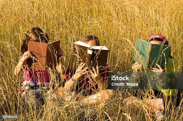 Tres Sala De Estar Y Lectura Foto de stock y más banco de imágenes de Club de lectura - Club de lectura, Aire libre, Niño