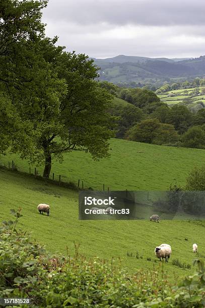 Welsh Sielskie Scena - zdjęcia stockowe i więcej obrazów Bez ludzi - Bez ludzi, Chmura, Dolina