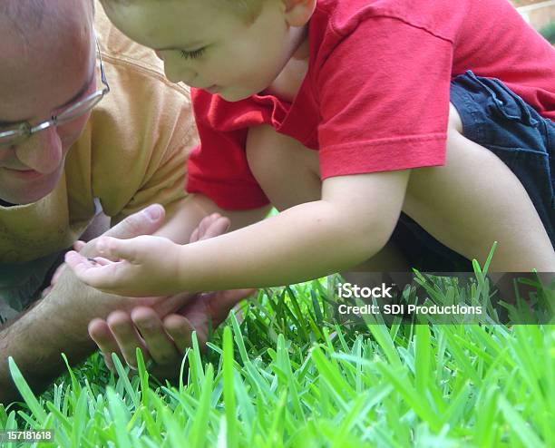 Padre E Figlio Insieme Osservazione Di Natura - Fotografie stock e altre immagini di Allegro - Allegro, Ambientazione esterna, Ambiente